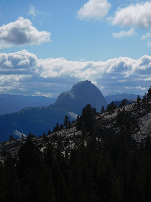 dscn1116.jpg