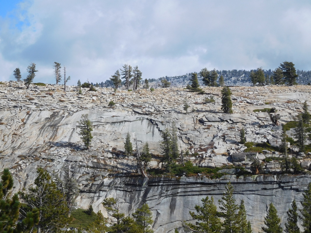 dscn1118.jpg