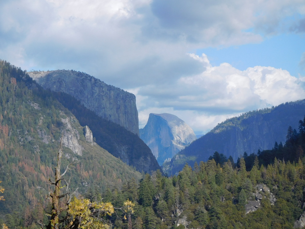 dscn1120.jpg
