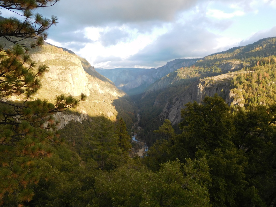 dscn1139.jpg