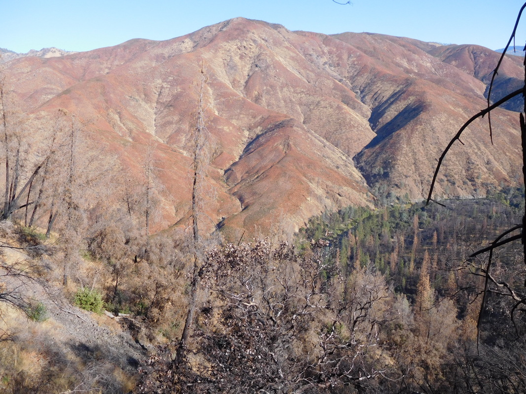 dscn1151.jpg