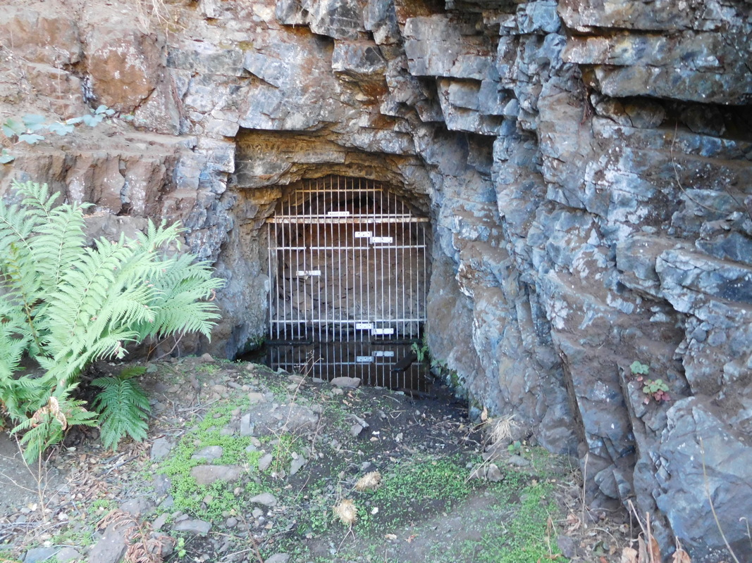 dscn1158.jpg