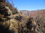 dscn1150.jpg