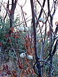dscn1156.jpg