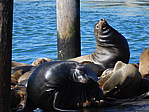 dscn1210.jpg