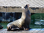 dscn1212.jpg