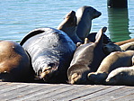 dscn1213.jpg