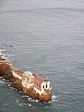 dscn1300.jpg