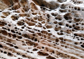 Goblin Valley State Park