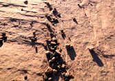Moab