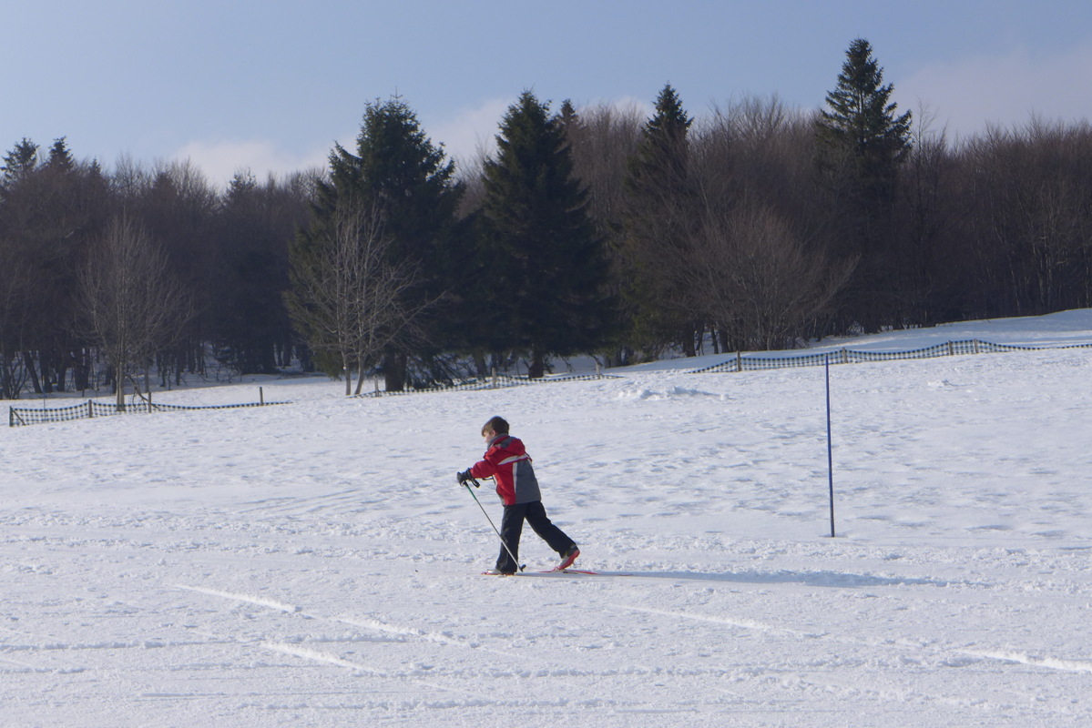 p1040156.jpg