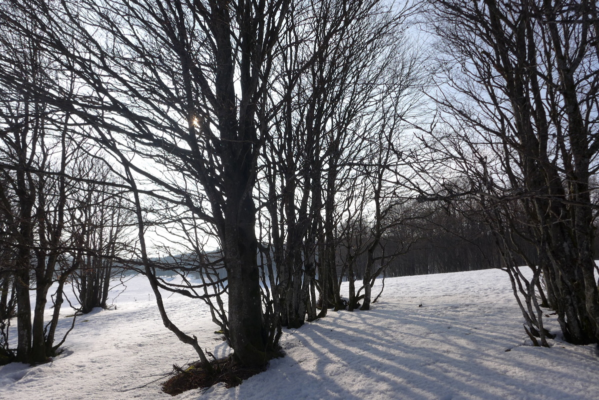 p1040163.jpg