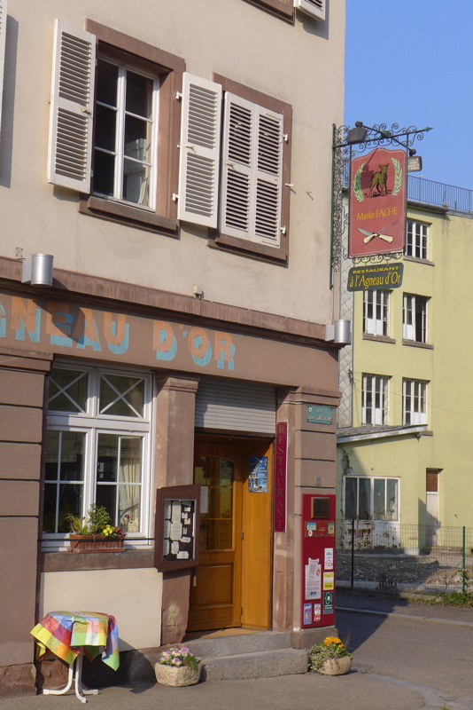 p1040186.jpg