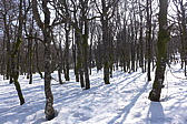 p1040128.jpg