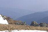 p1040131.jpg