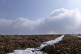 p1040139.jpg