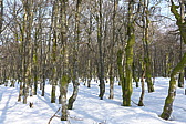 p1040152.jpg