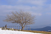 p1040157.jpg