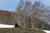 p1040159.jpg