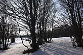 p1040163.jpg
