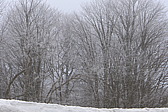 p1040175.jpg