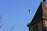 p1040194.jpg