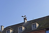 p1040195.jpg