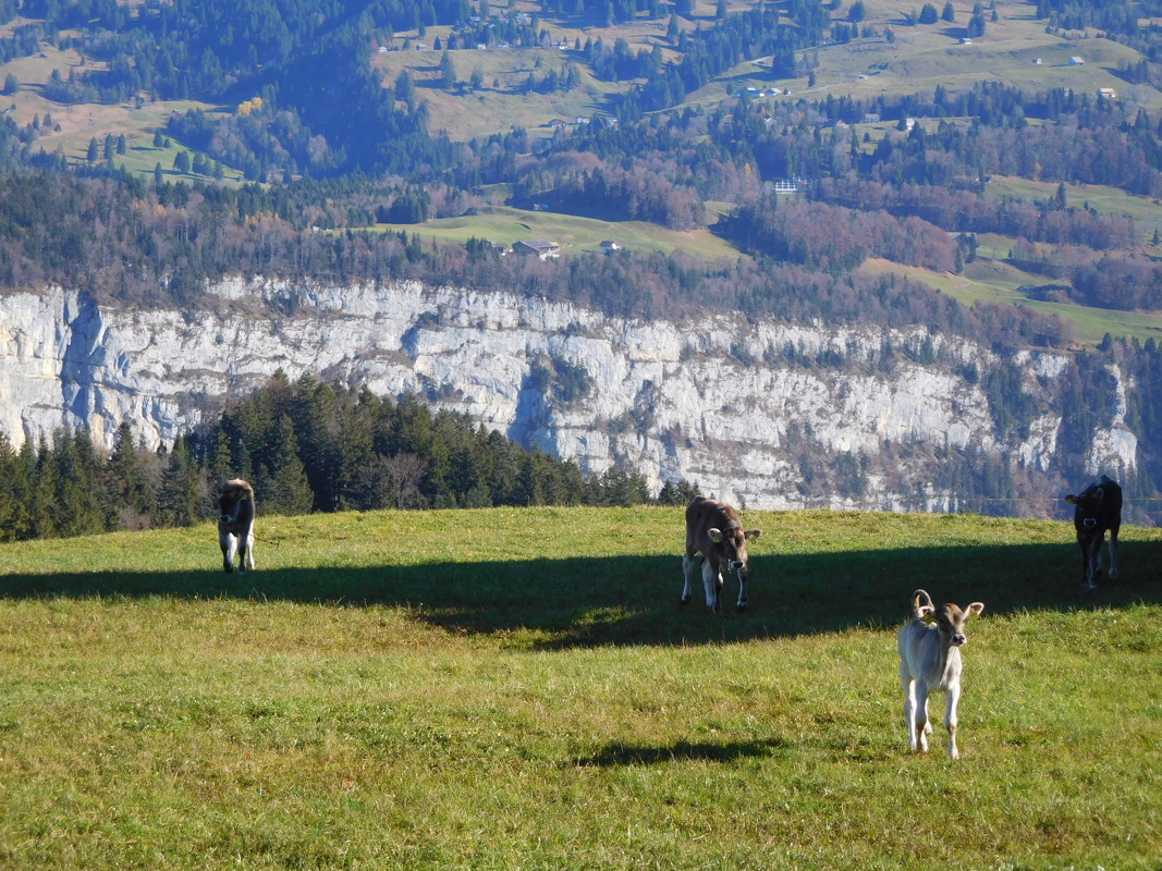 dscn1336.jpg