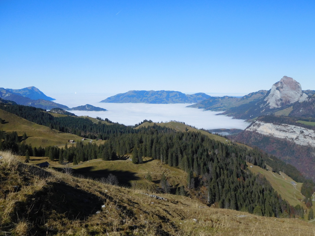 dscn1345.jpg