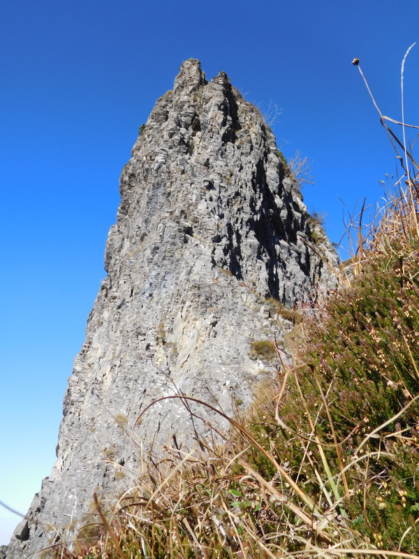 dscn1346.jpg