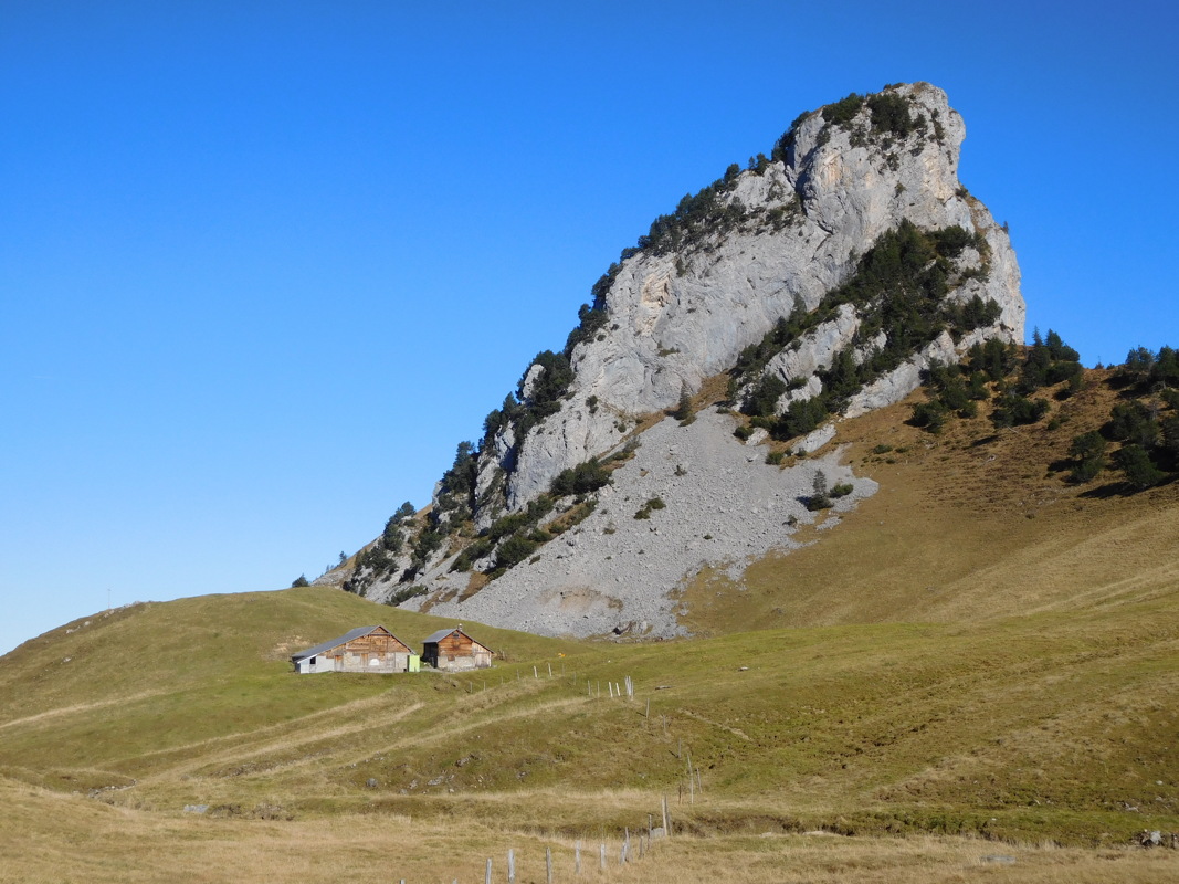 dscn1349.jpg