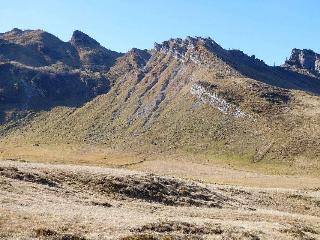 dscn1350.jpg