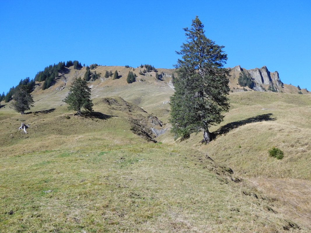 dscn1353.jpg