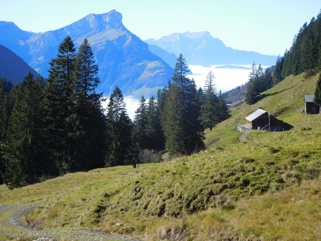 dscn1355.jpg