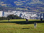 dscn1336.jpg