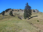 dscn1353.jpg