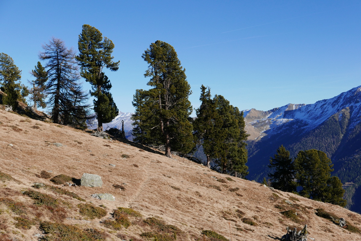 p1080679.jpg