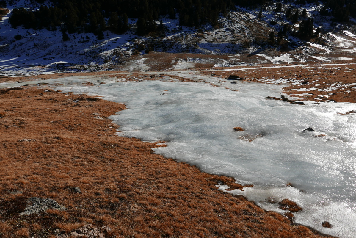 p1080690.jpg