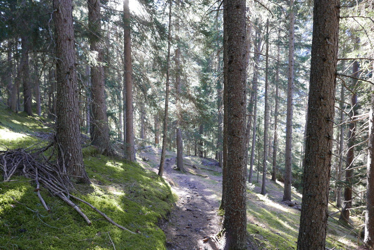 p1080694.jpg