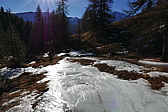 p1080631.jpg