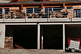 p1080639.jpg