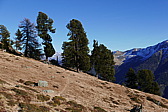 p1080679.jpg