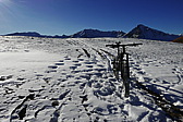 p1080683.jpg
