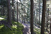 p1080694.jpg