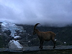 img_0274.jpg