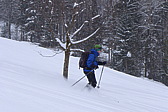 p1030874.jpg
