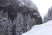 p1040290.jpg