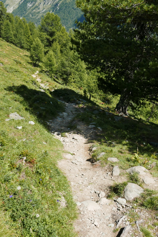 p1090781.jpg