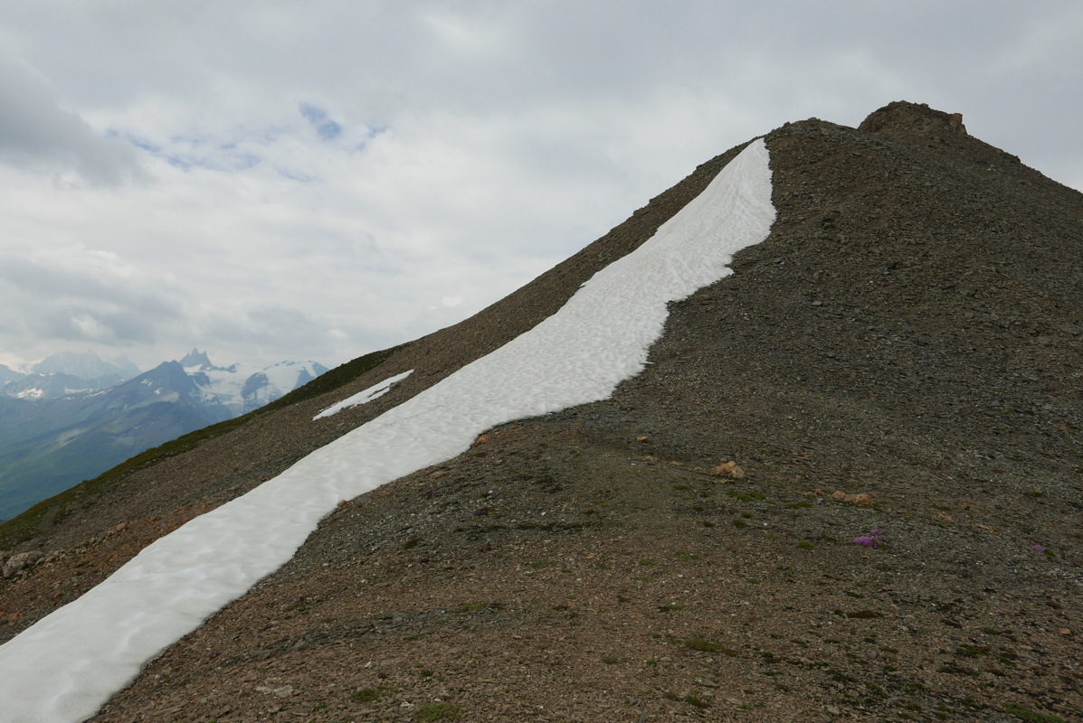p1090849.jpg