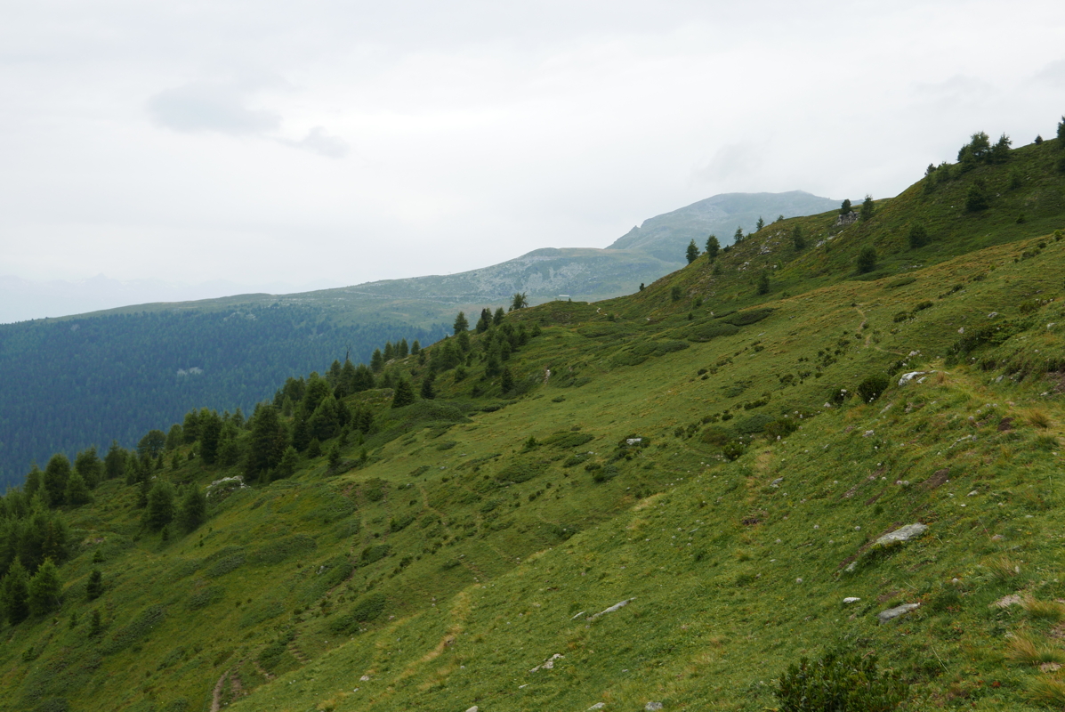 p1090855.jpg